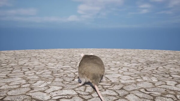 Labyrinth of Whiskers