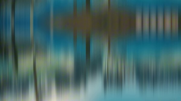 co op gameplay trailer jp