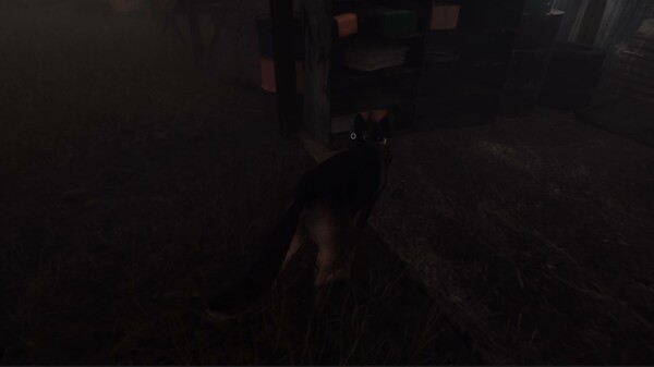 The Good Dog: Chasing Shadows 動画