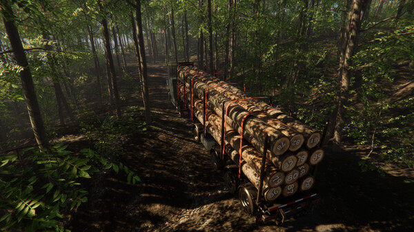 13 Ton Trailer Haul