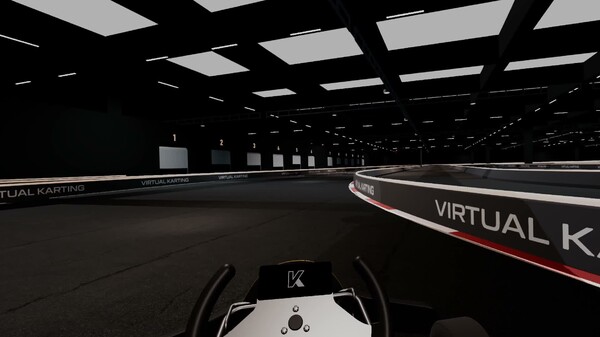 Virtual Karting driving footage