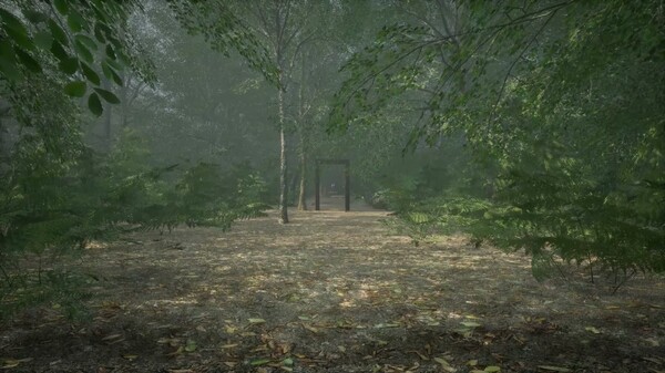 Obey the Rules: Forest