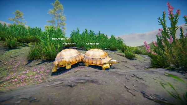Turtles Teaser