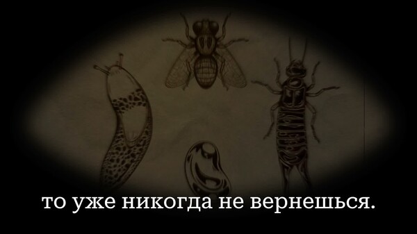 Добро пожаловать в SPIDER HOTEL