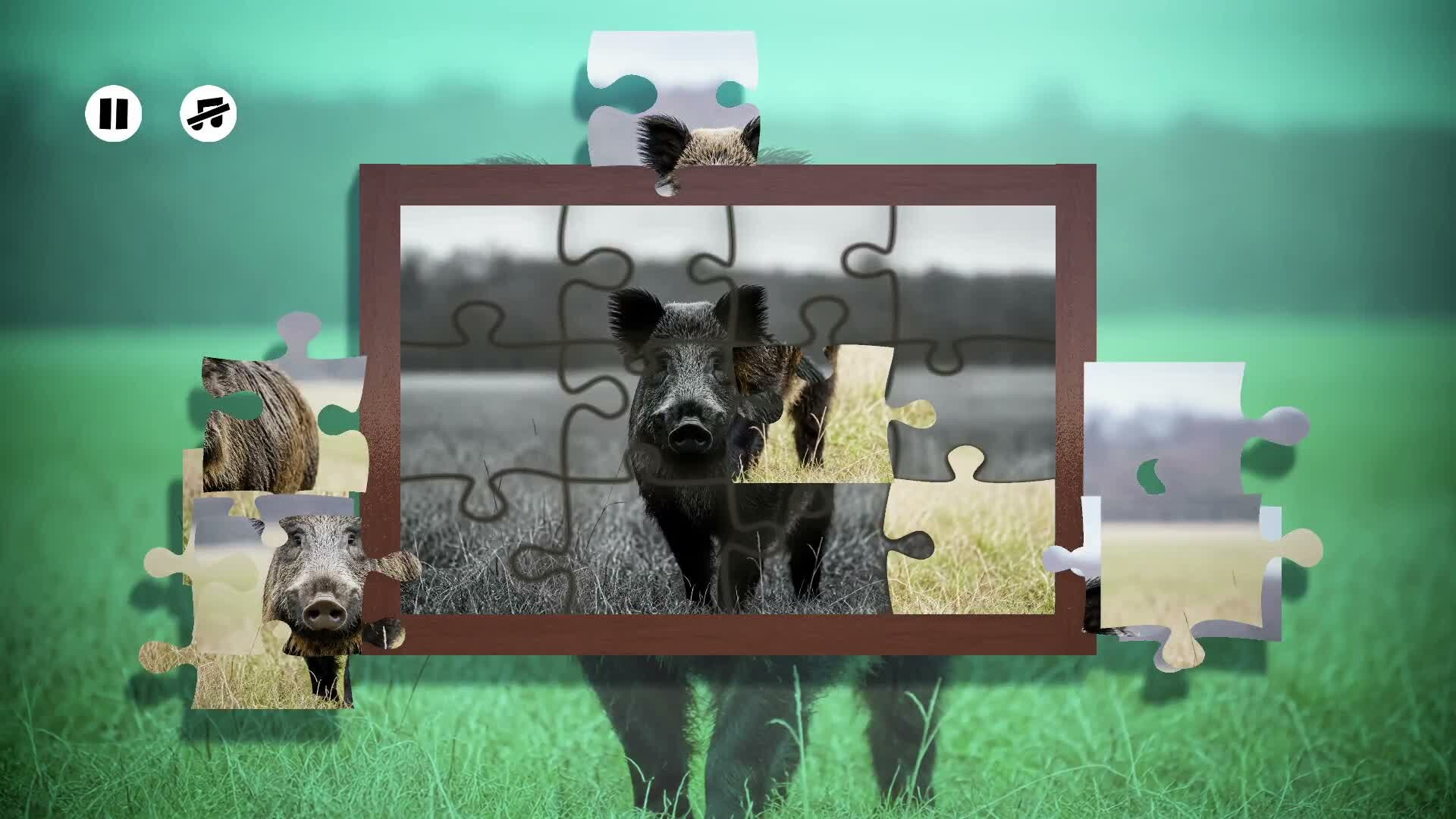 Puzzles Boars trailer