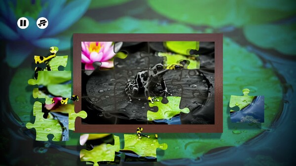 Puzzles Frogs trailer