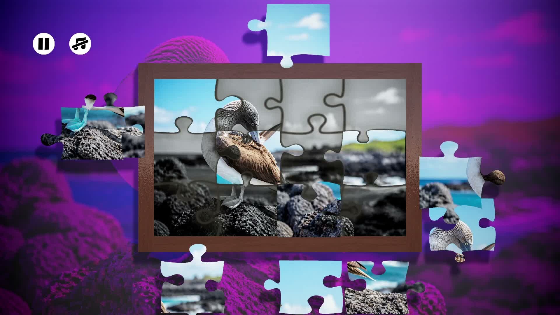 Puzzles Birds trailer