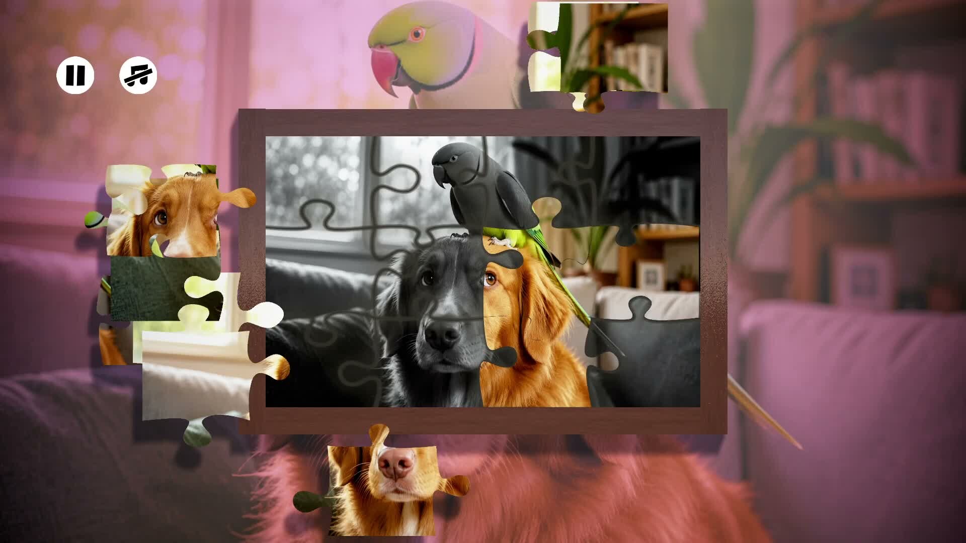 Puzzles Parrots trailer