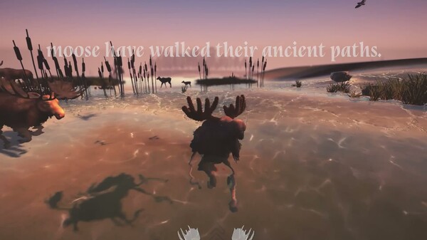 Moose Migration Gameplay