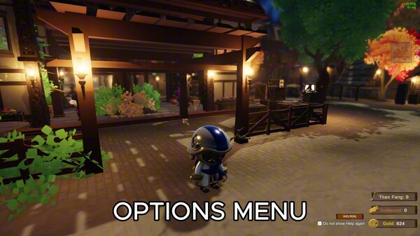 Options