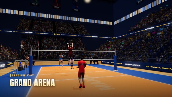 Volleyball Mania