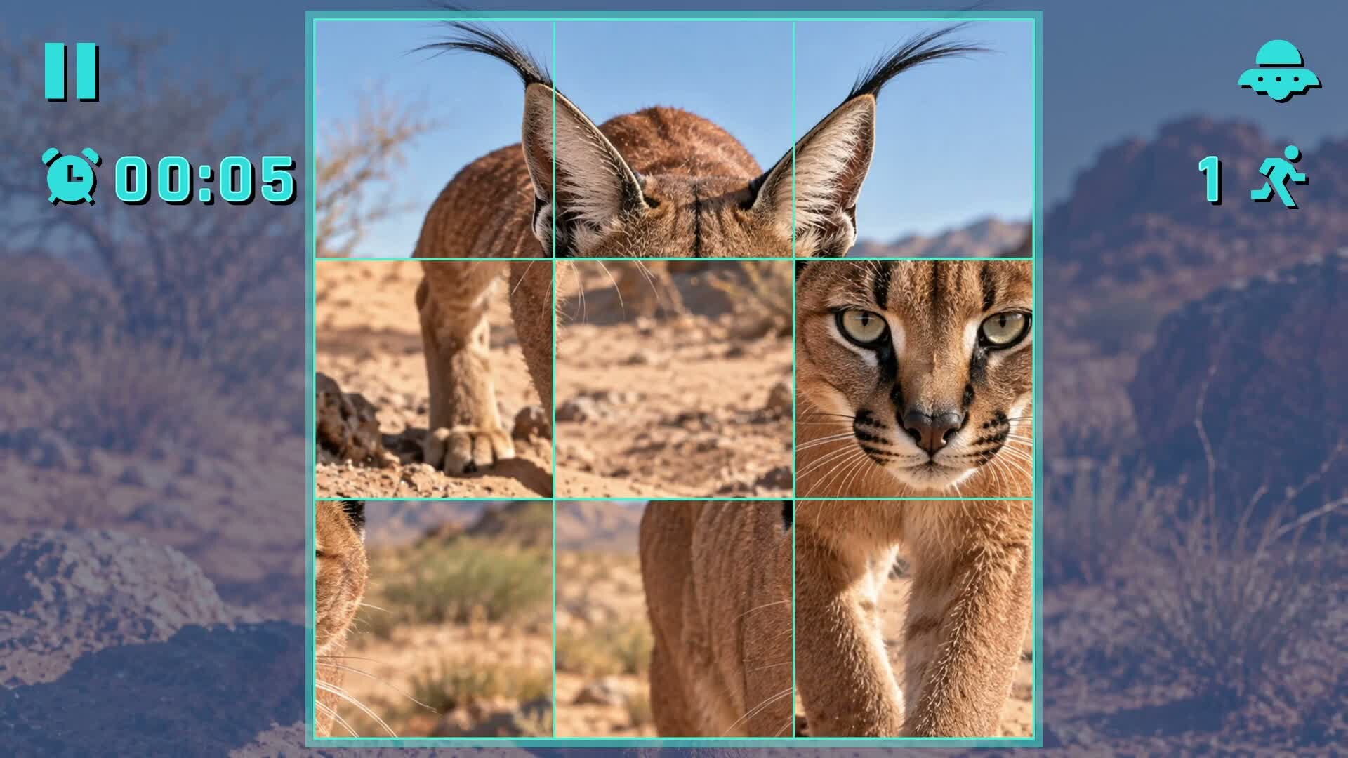 Puzzle Wild Cats trailer