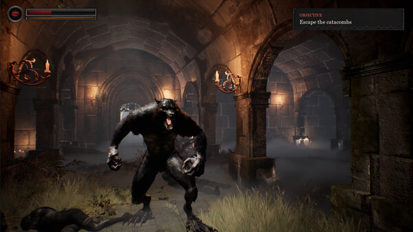 WOLFBANE – Play as a Werewolf | Gameplay Trailer