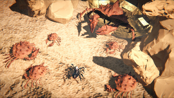 Thumbnail 7