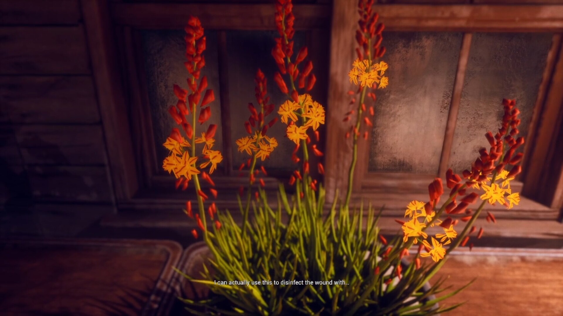 My Dear Emma screenshot #2