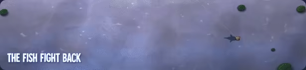 Fishing Echoes video 4