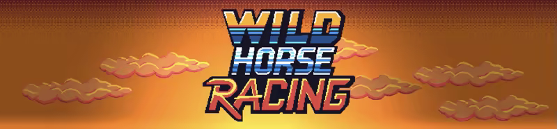 Wild Horse Racing screenshot