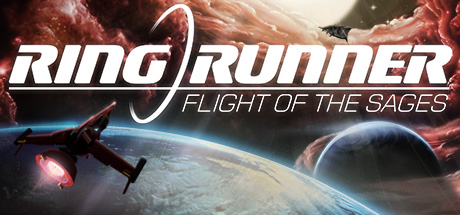 Ring Runner: Flight of the Sages Cover Image