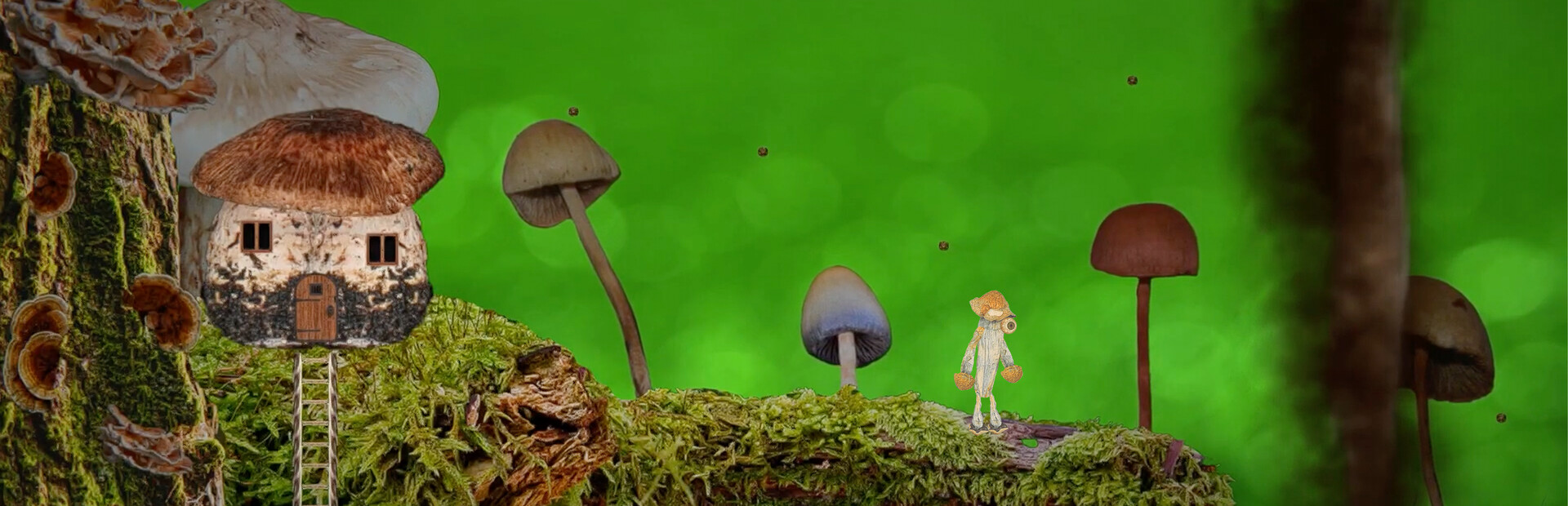 FungEye