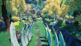 Florifer video 8