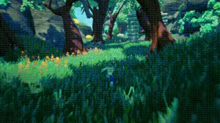 Florifer video 2