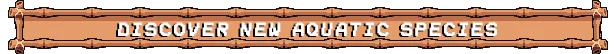 Tiny Aquarium: Social Fishkeeping image