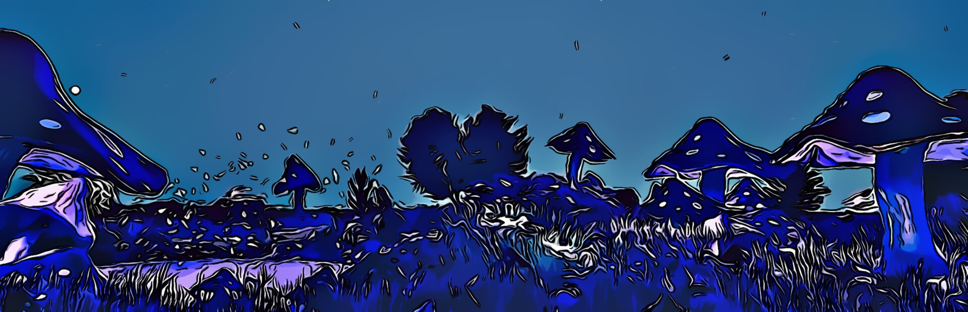 Quack Attack
