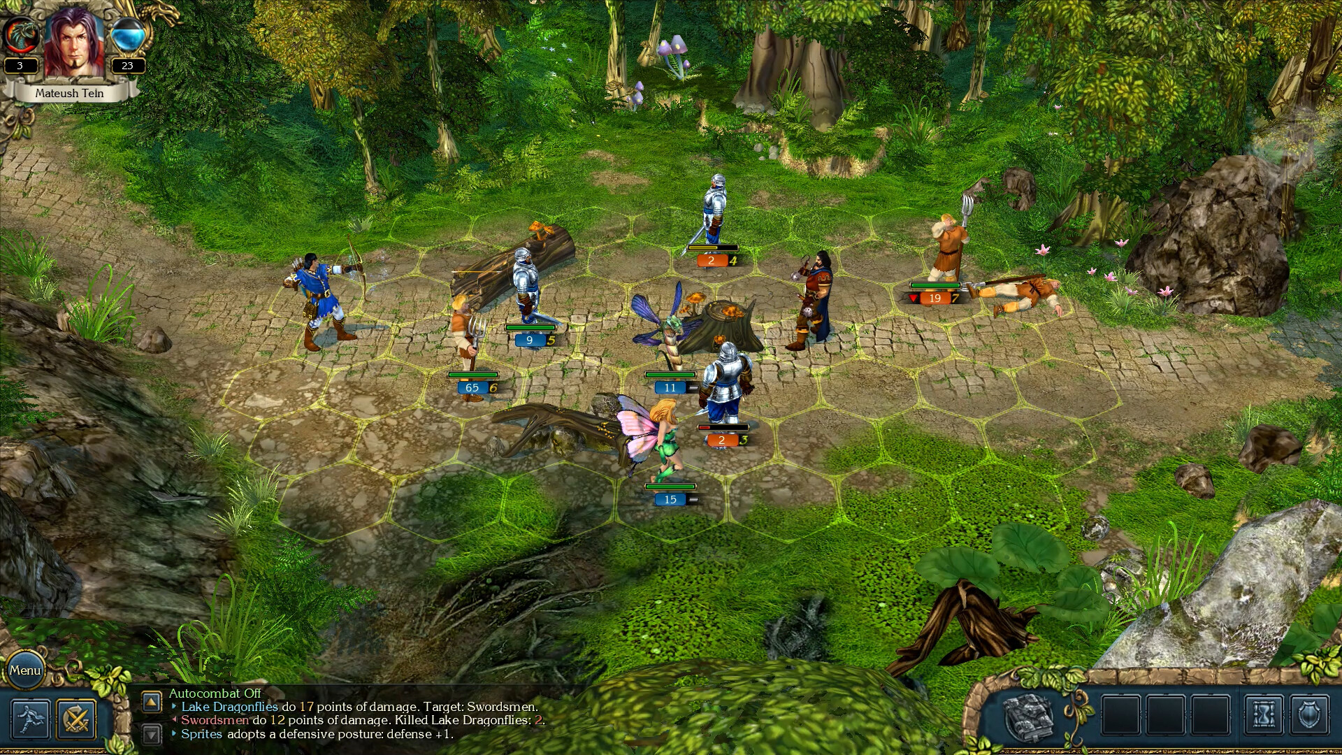 Screenshot de King's Bounty: The Legend