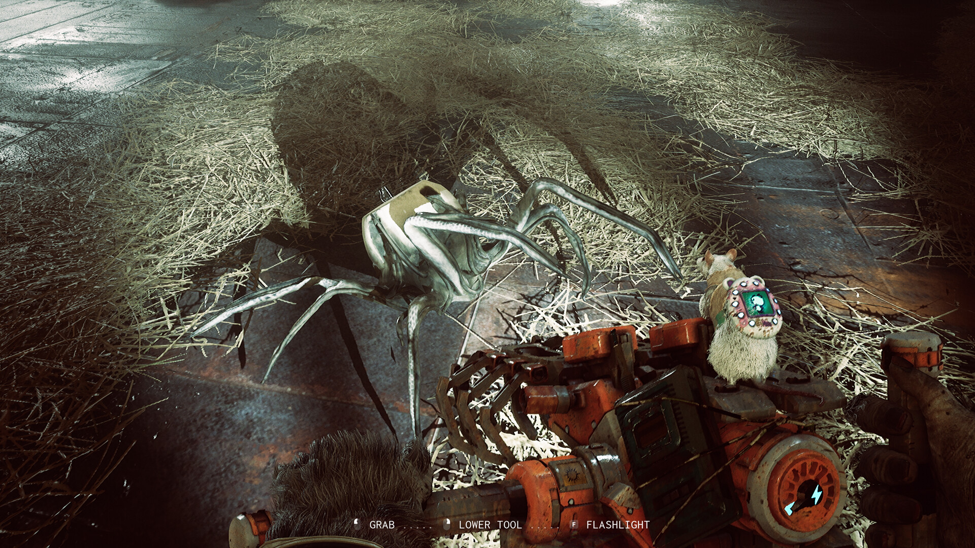 ANIMAL USE PROTOCOL screenshot #3