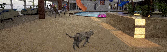Ship's Cat video 1