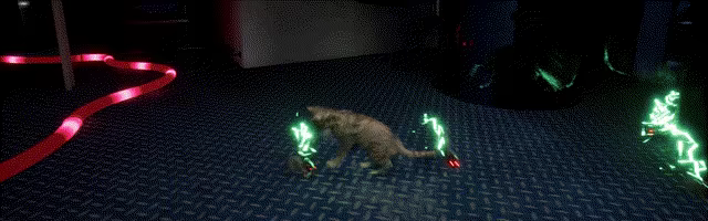 Ship's Cat video 2