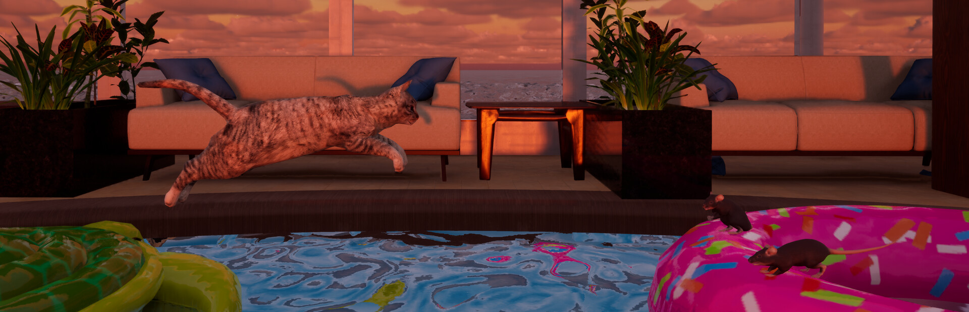 Ship's Cat