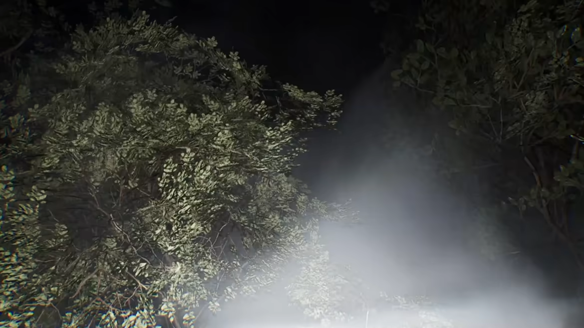 IDILI video 4