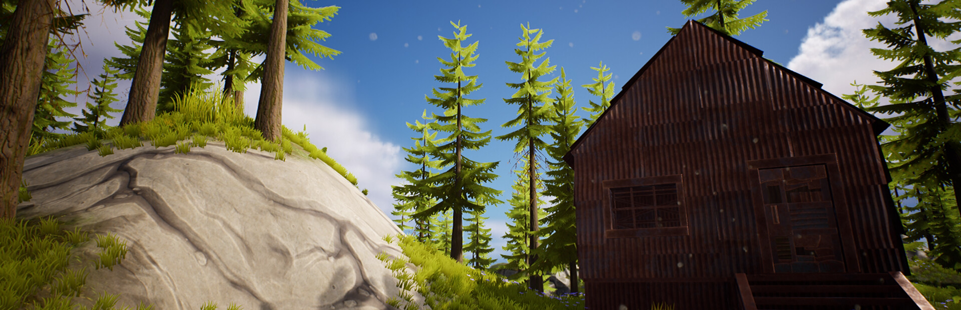 Forest Life