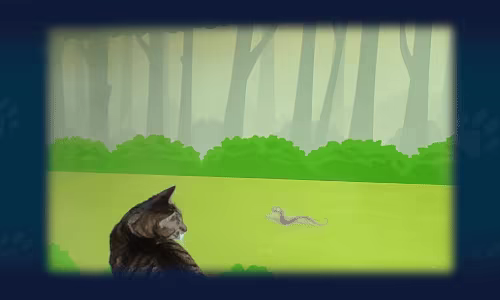 Play With Your Cat! - A Virtual Toy Box video 5