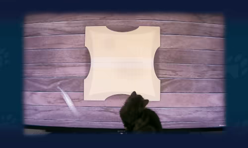 Play With Your Cat! - A Virtual Toy Box video 3