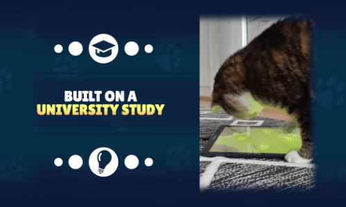 Play With Your Cat! - A Virtual Toy Box video 9
