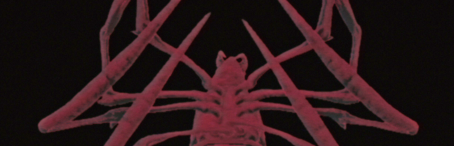 SPIDER MALL !