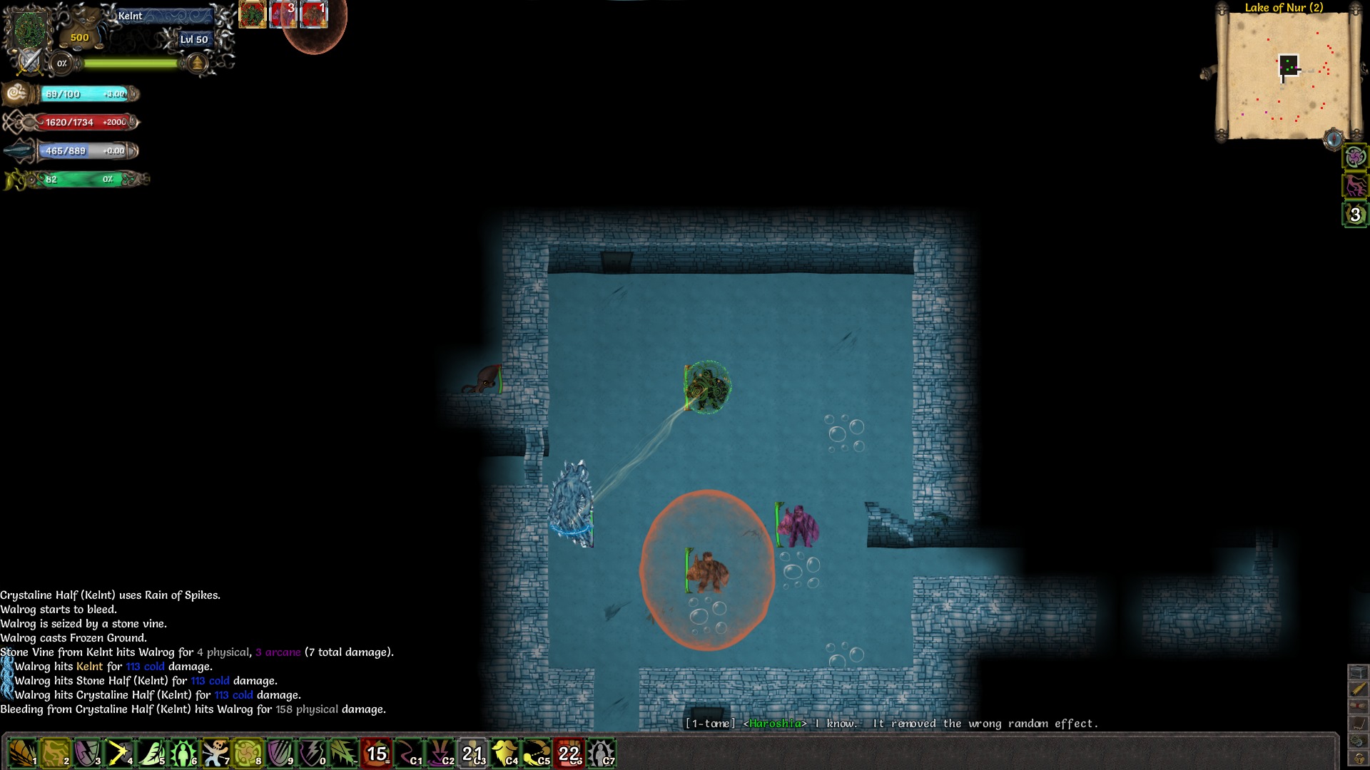 Tales of Maj'Eyal screenshot #19