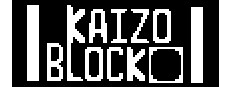 Kaizo Block