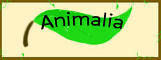 Animalia