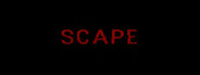 Capsule media