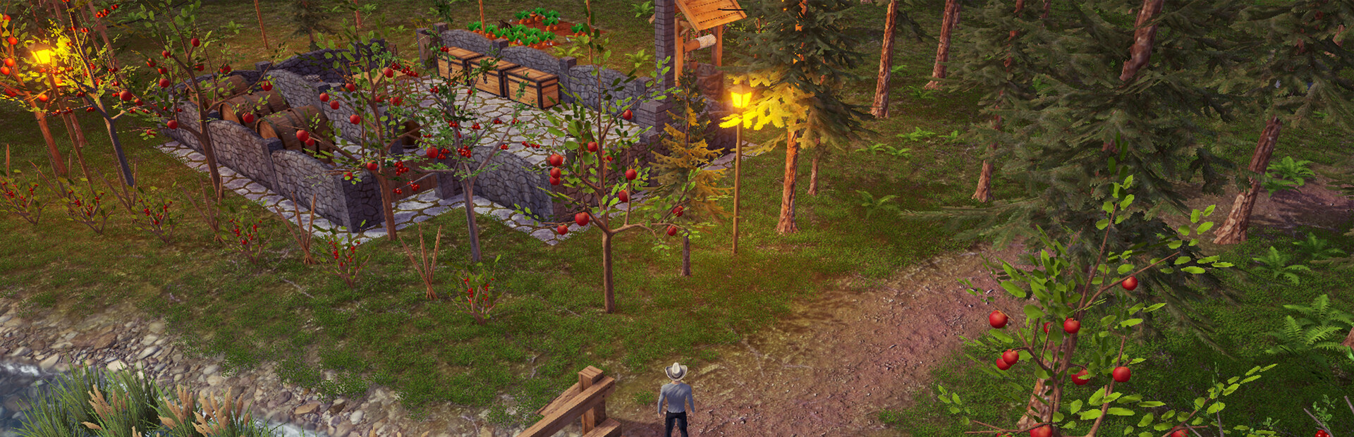Backwoods Town