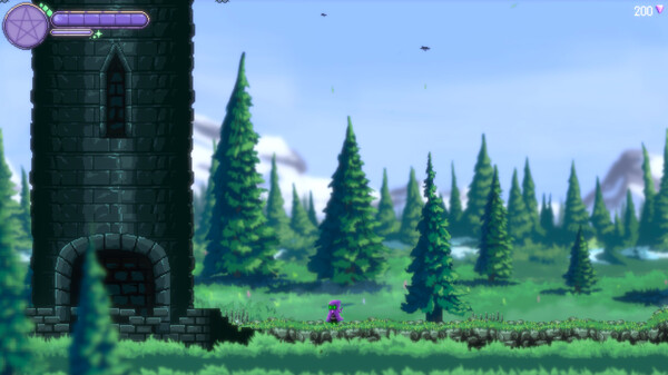 Thumbnail 13