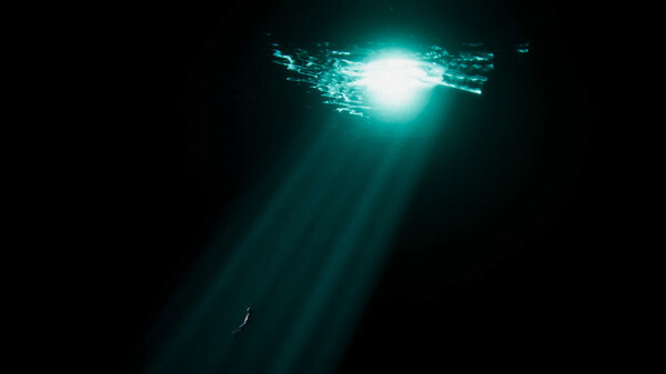 The Journey Home screenshot 7