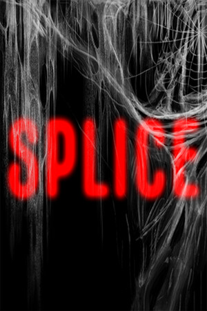 Capa de Splice