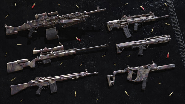 Insurgency: Sandstorm - Desert Veteran Weapon Skin Set