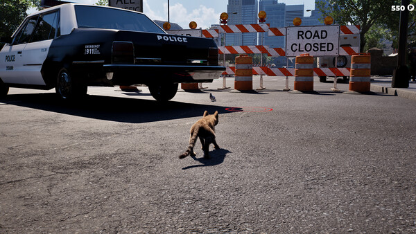 Cat Life Simulator