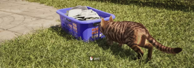 Cat Life Simulator video 6