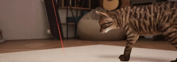 Cat Life Simulator video 5